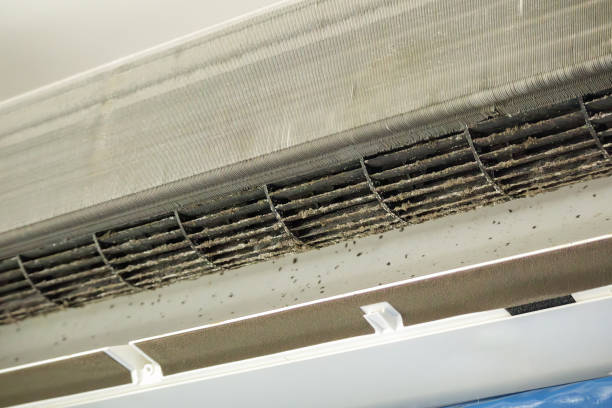 Best Affordable Duct Cleaning Services  in Poquonock Bridge, CT